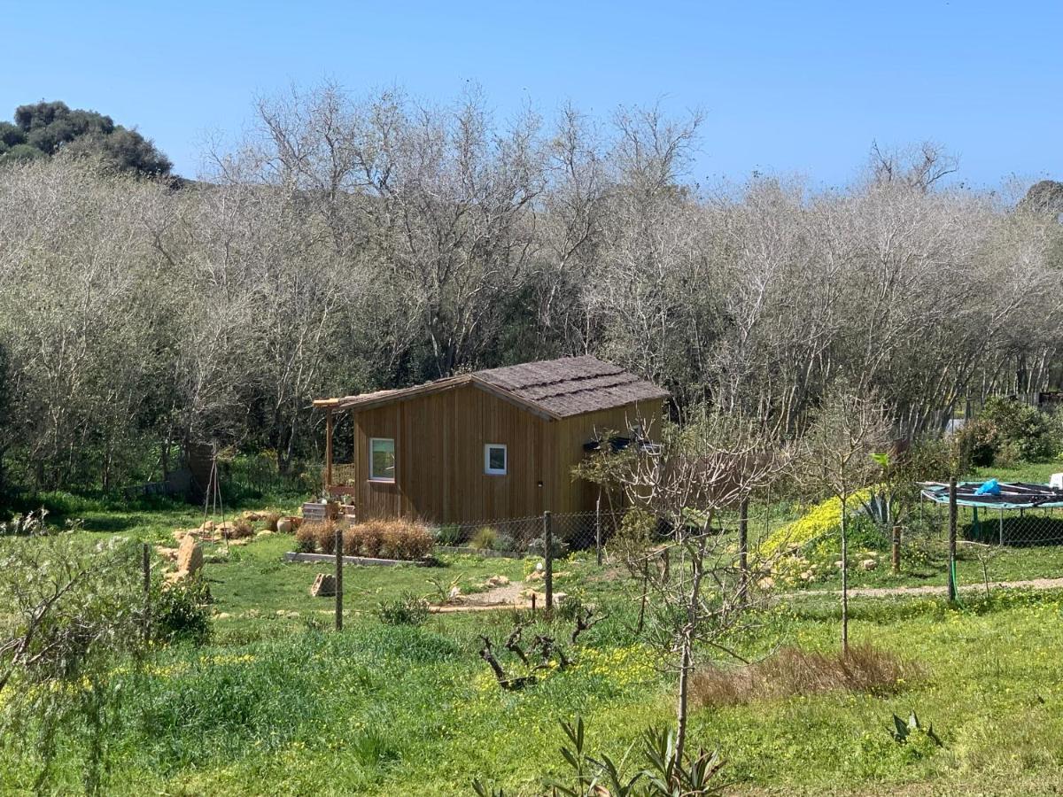 Cabana Casaotto Los Canos De Meca Zewnętrze zdjęcie